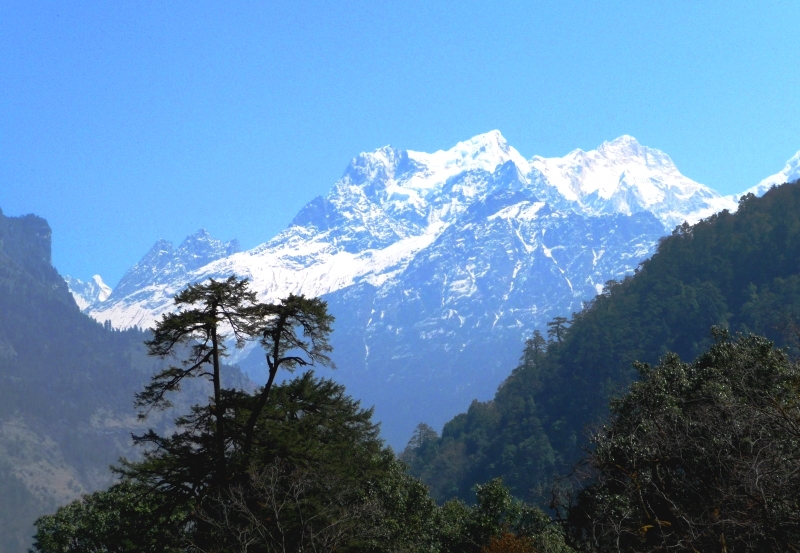 Die ersten Himalayariesen kommen in Sicht