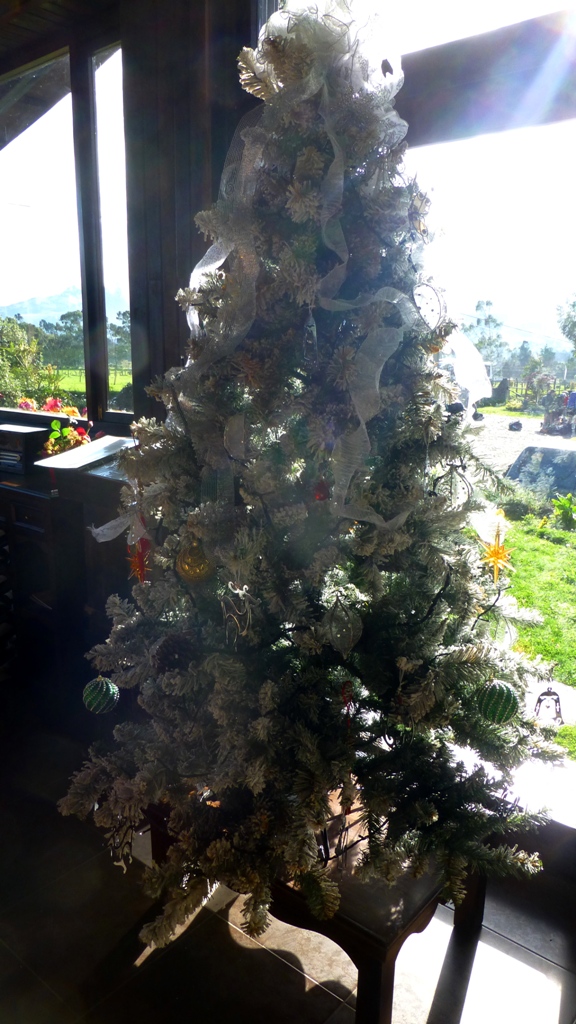 Ecuadorianischer Weihnachtsbaum