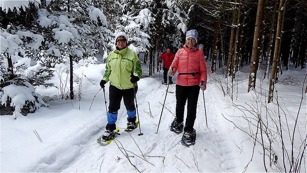 Durch das  "Galgenholz"
