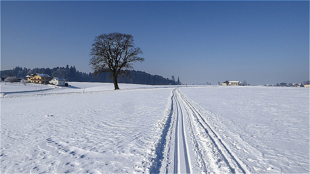 Einsame Langlaufspur in der Ortschaft Holz