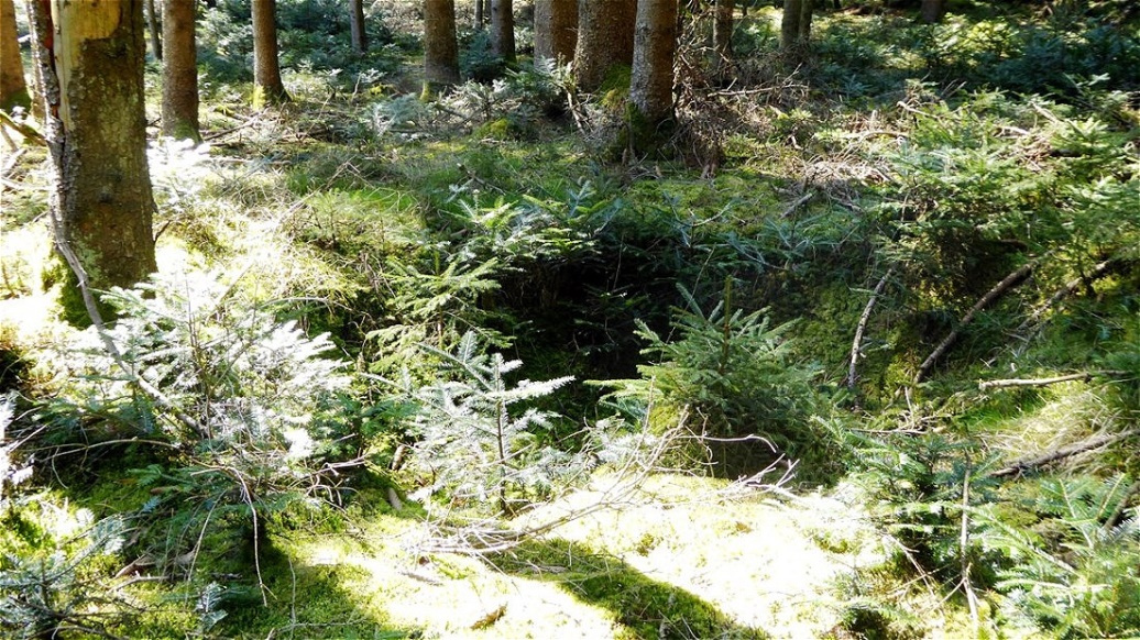 Grabungsspuren