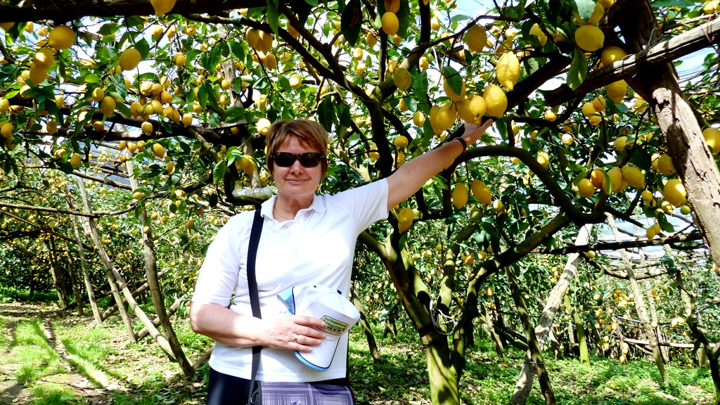 Einladung zum Pflücken !