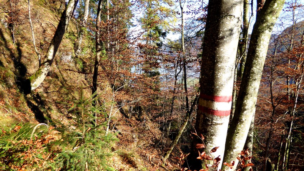 Wir starten direkt am Scheitel des Scharflingpasses