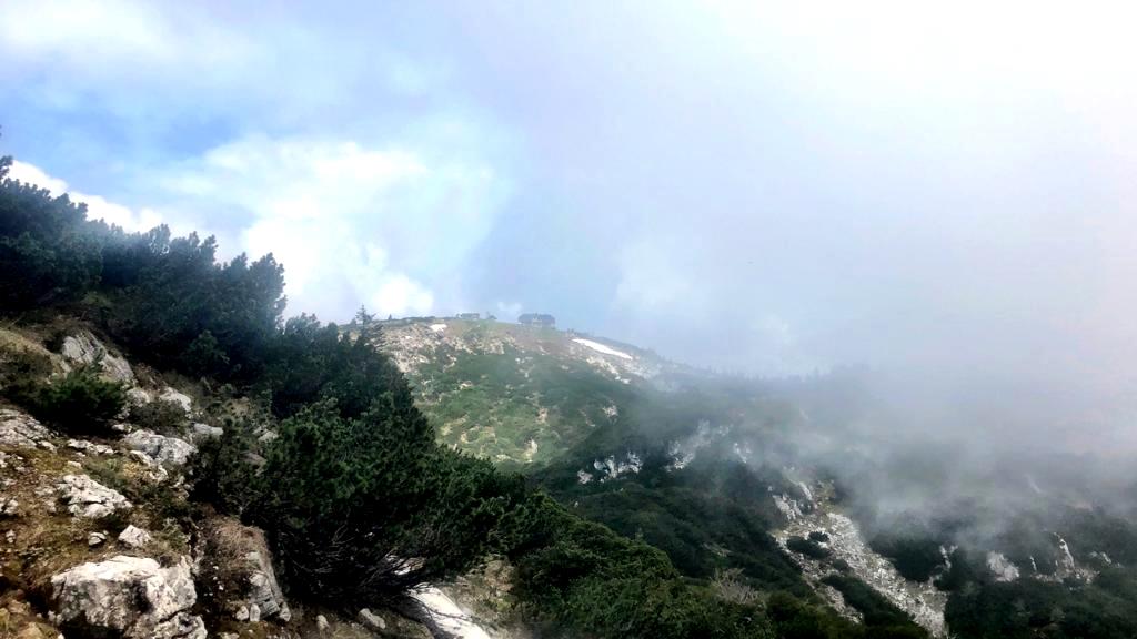 21. Mai 2020 Hochleckenkogel-Brunnkogel