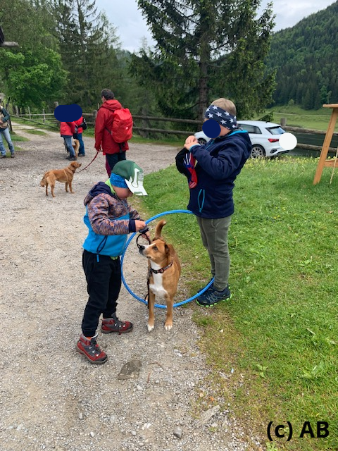 Ziel-Hindernis 5 - durch den Reifen