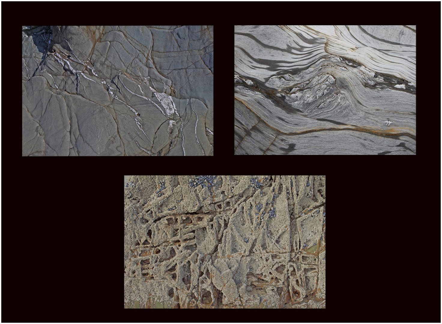 Highly Commended: Nature's Art (Bill Roberts)