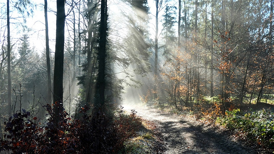 18. Dezember 2020 - Unterwegs auf dem Bibelweg