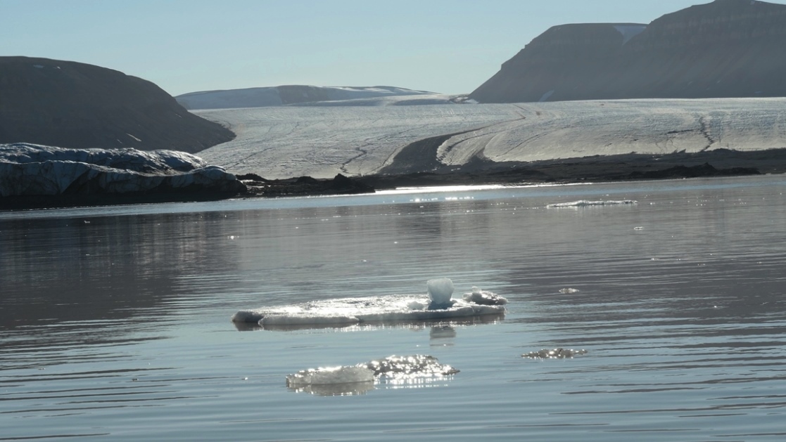 Hier erreichen noch alle Gletscher das Wasser des Fjordes