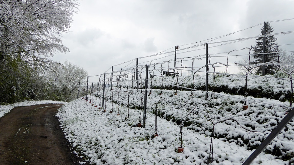 2017_04_19  Ostseite