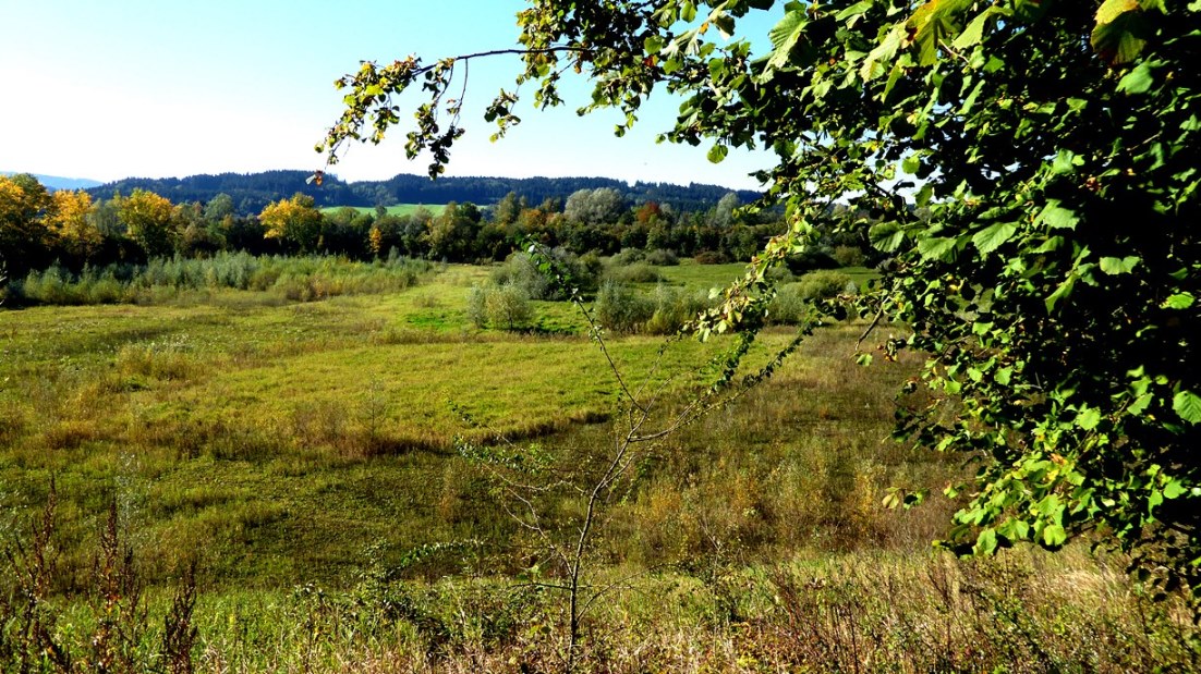 Das Becken schützt in Hochwasserzeiten vor Überschwemmungen