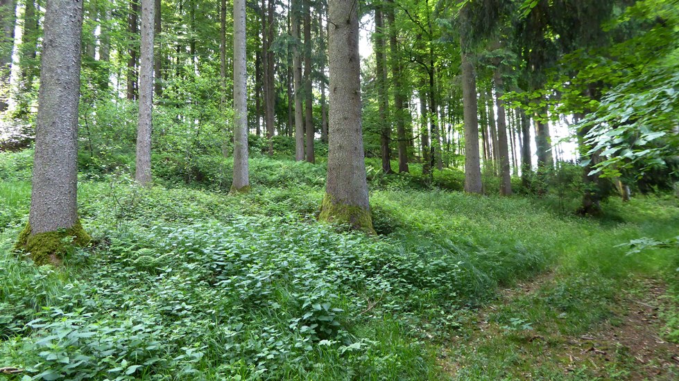 Blickrichtung Süden