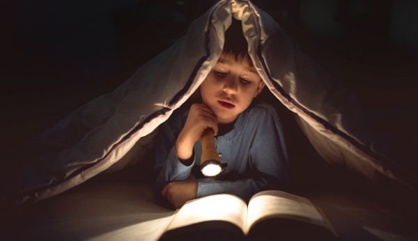 Volksschüler Lukas liest in einem IQ-Buch von Susanne Knauss