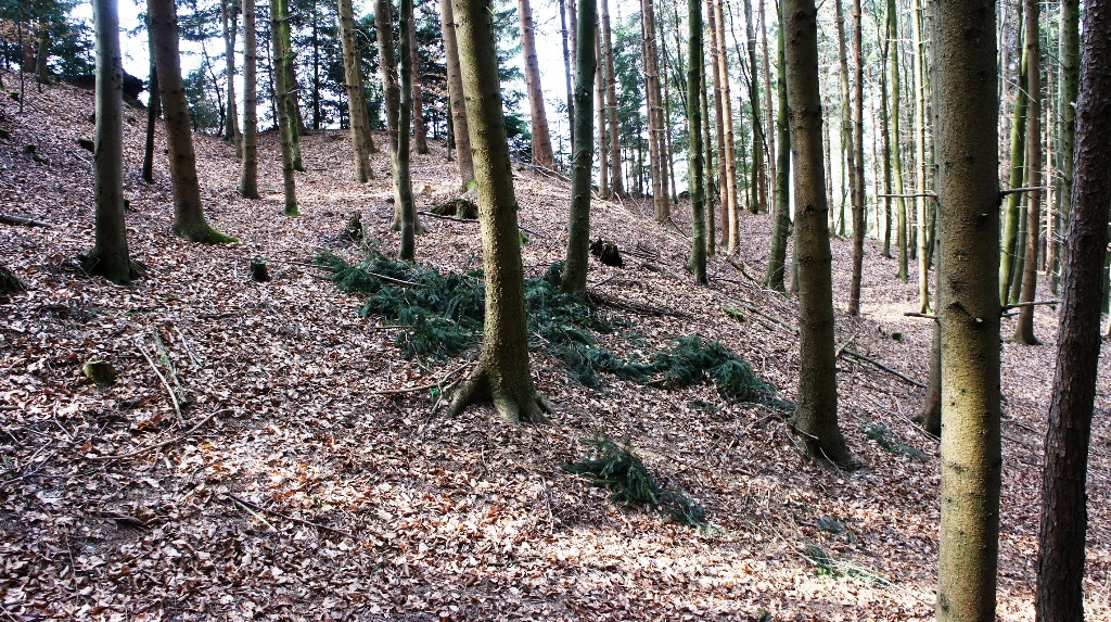 Nordseite - Doppelwall mit Gräben