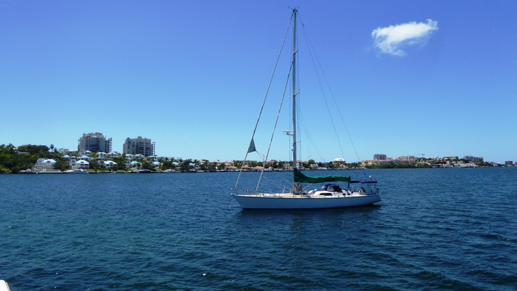 Wir cruisen in der "Grand Etang"