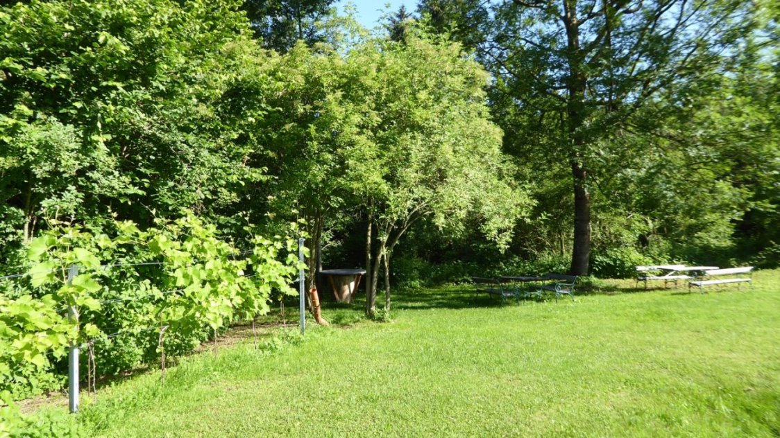 Schattiges Plätzchen