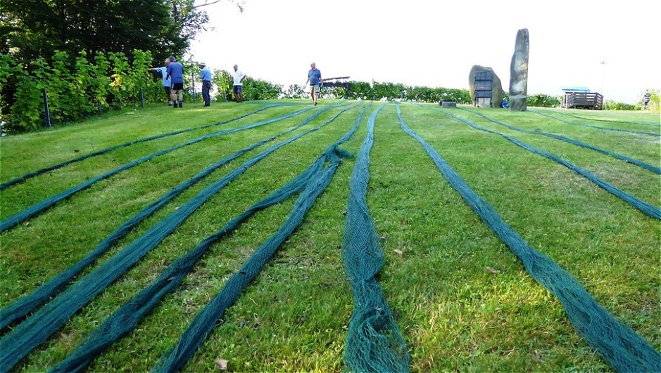 Die Netze werden aufgelegt