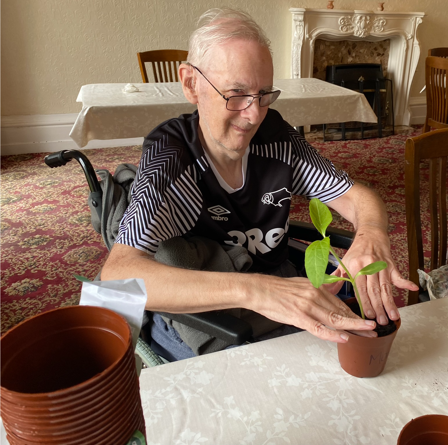 Repotting our Sunflowers - May 2022