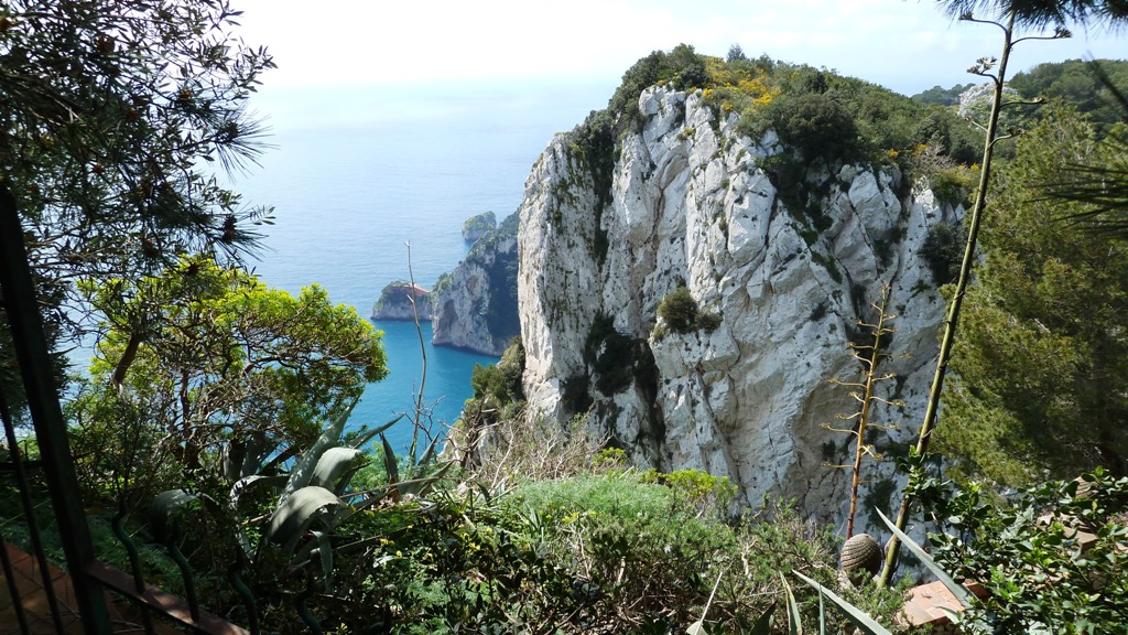 Schroffer Kalkstein mit üppigem Bewuchs