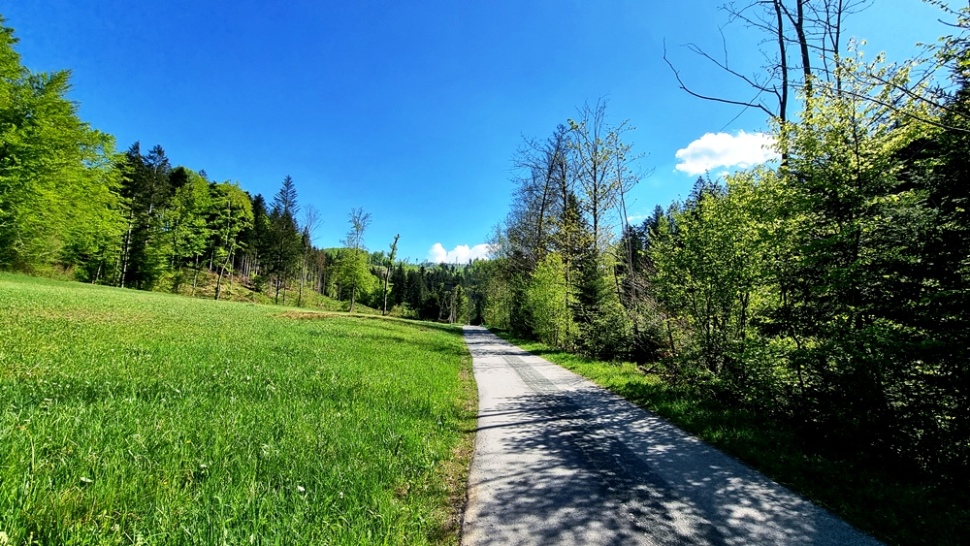 Radroute bei Sieghartsstein
