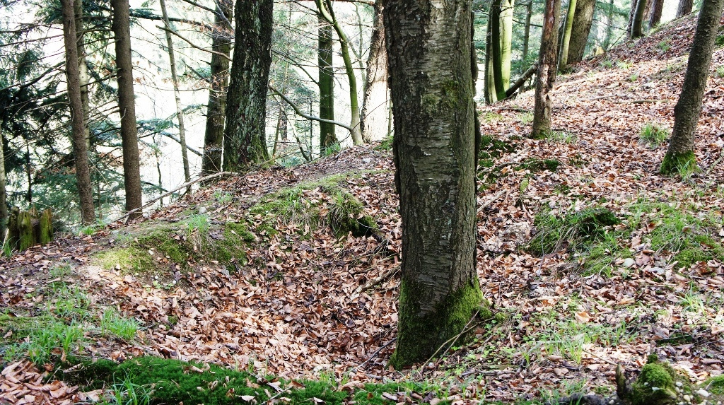 Rätselhafte Grube im Inneren der Wallanlage