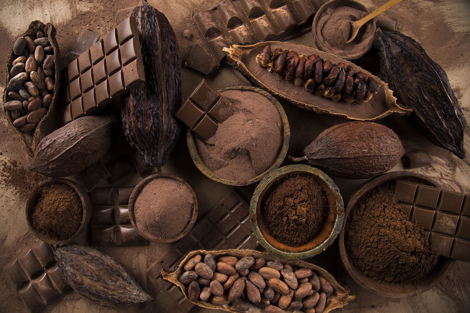 Cocoa Beans Cocoa Beans