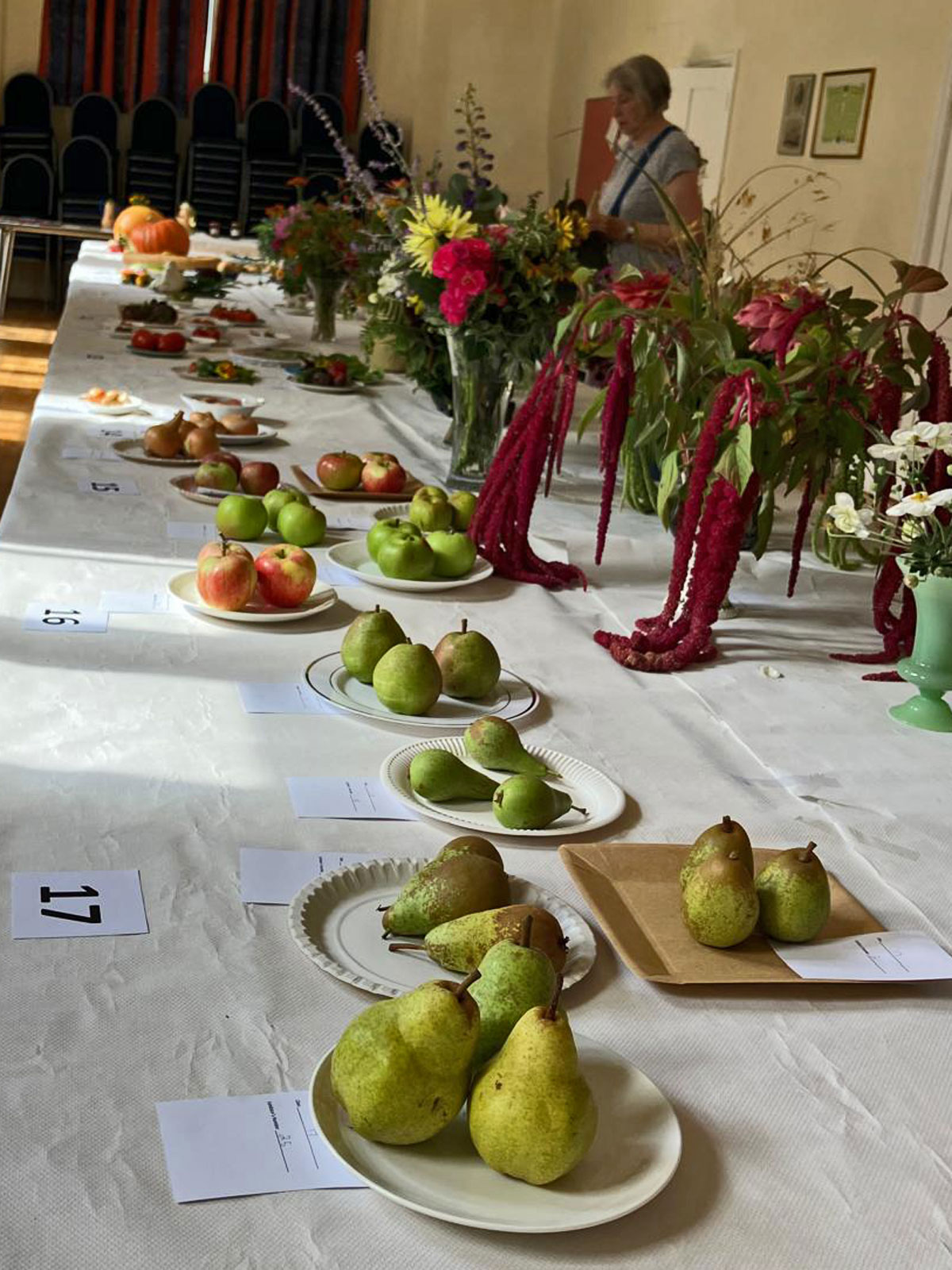 https://0501.nccdn.net/4_2/000/000/04d/add/pears.jpg