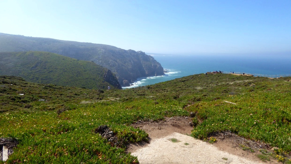 Fernblick