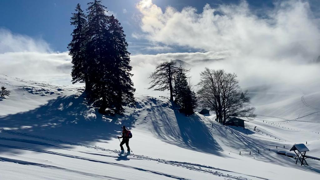 11. Dezember 2023 - Hoher Zinken