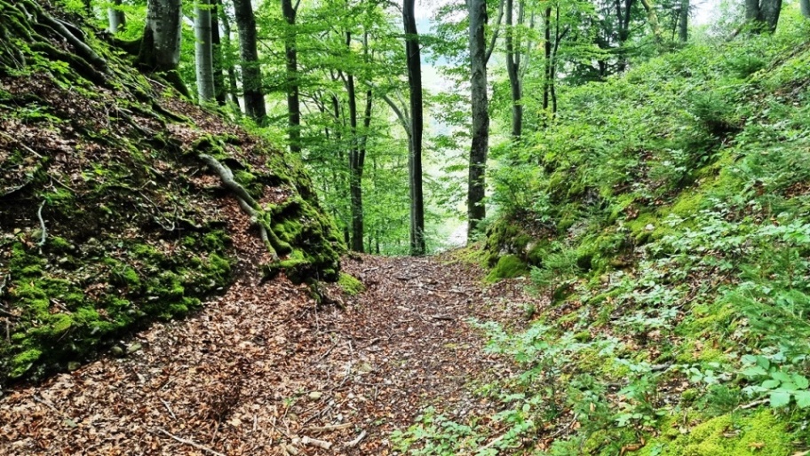 Der große Graben verläuft in Nord-Süd-Richtung