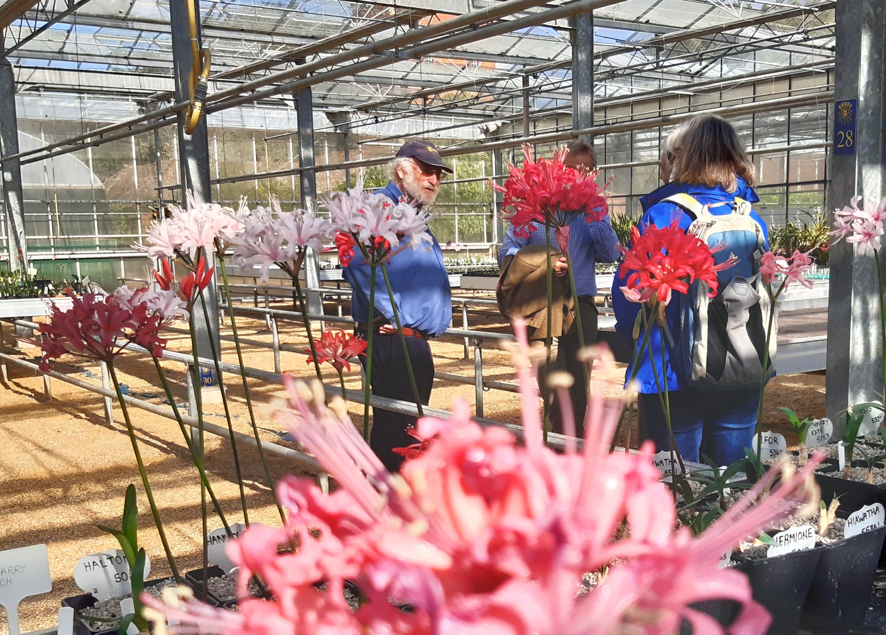 NAAS President Nicholas de Rothschild in discussion with members in his glasshouse.
