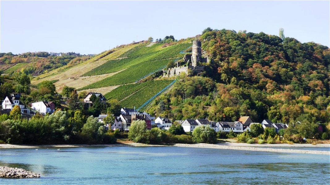 Burg Fürstenberg bei Rheindiebach am Rhein
