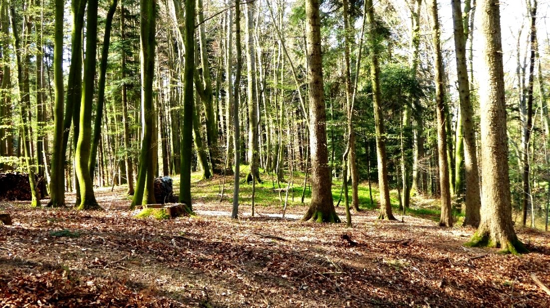 Annäherung an Grabhügel 2