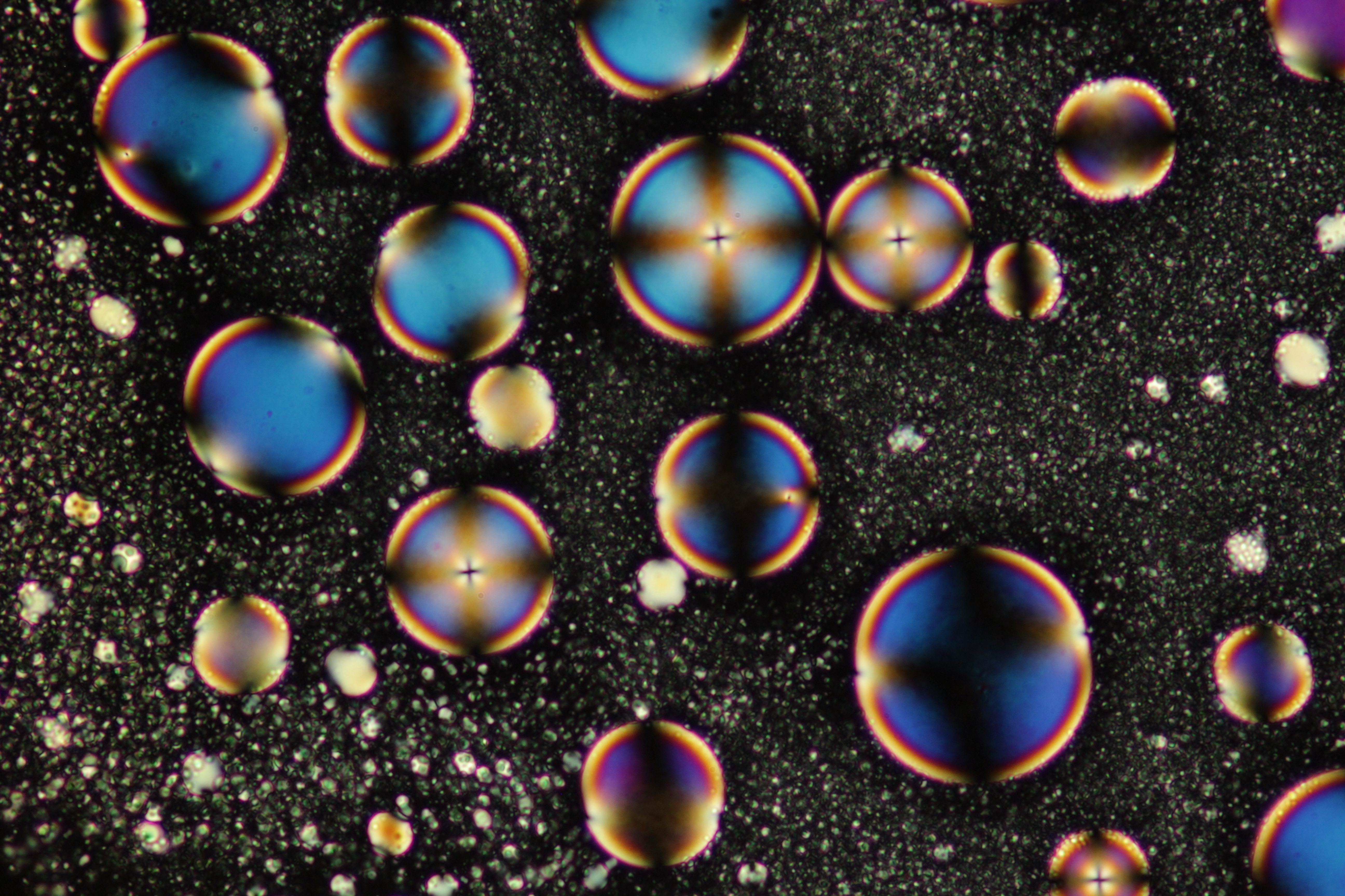 Phase separation after cooling of a PDLC.
