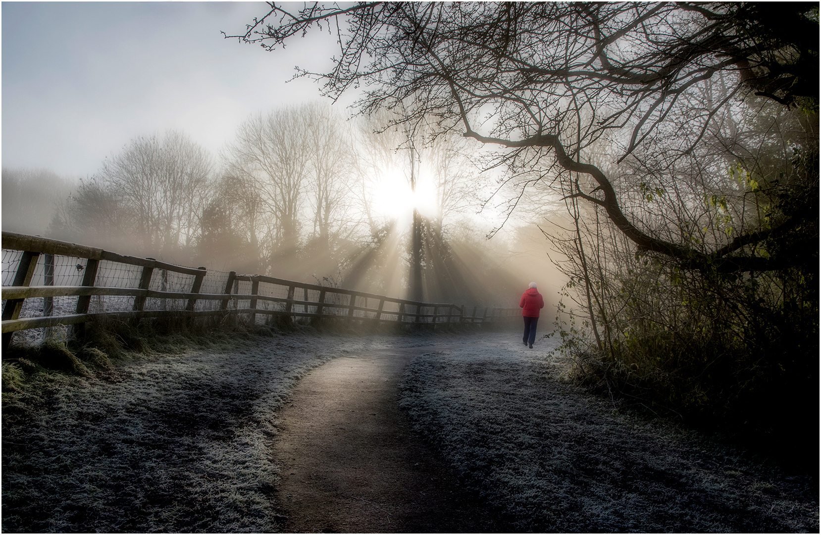 2nd Place: Early Morning Wal (Dave Ormerod)