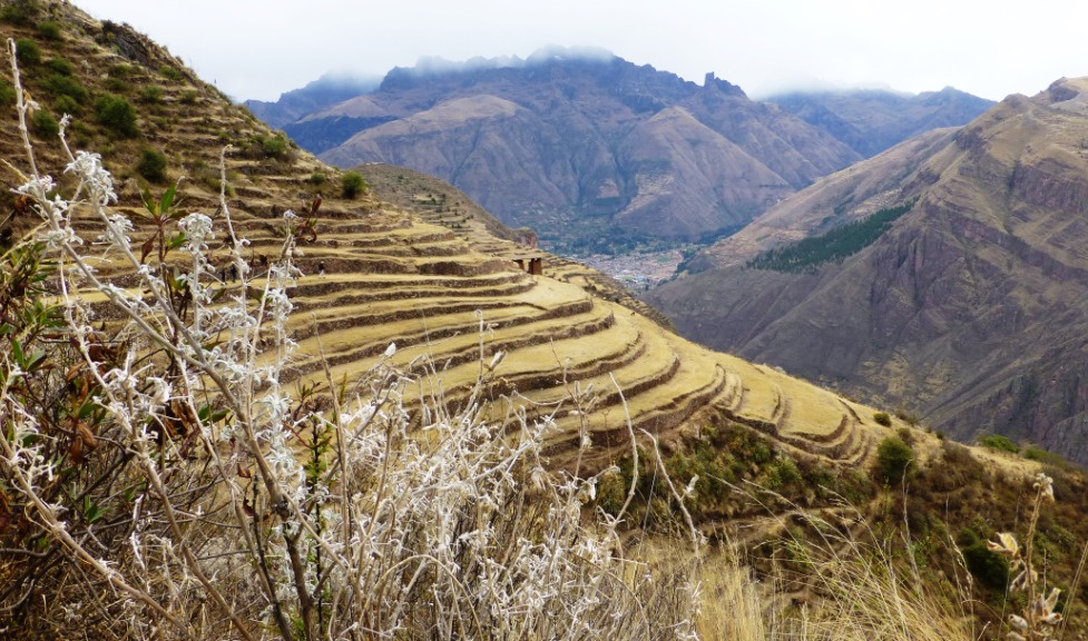 Terassenbewirtschaftung
bei den Ruinen von Pisac.