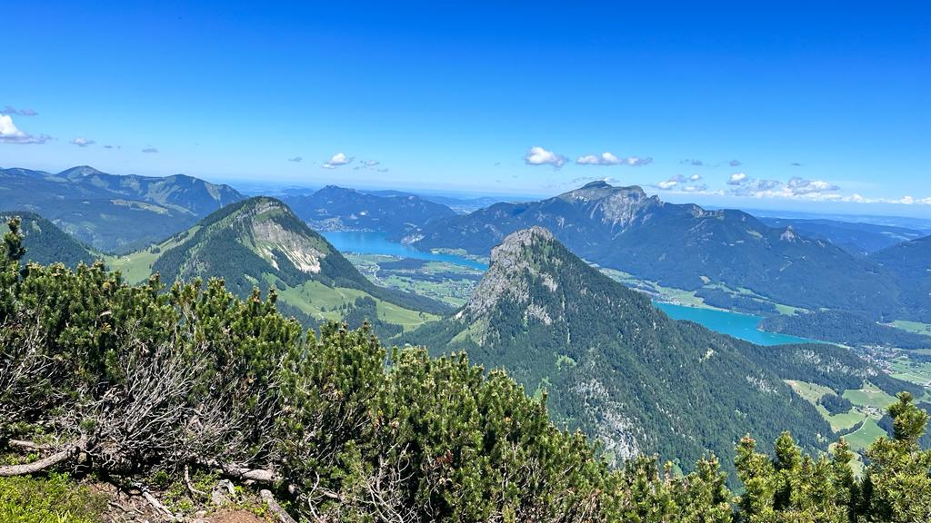 Der markante Sparber dahinter die Bleckwand