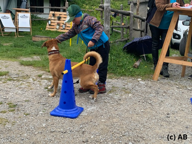 Hindernis 1- unten durch