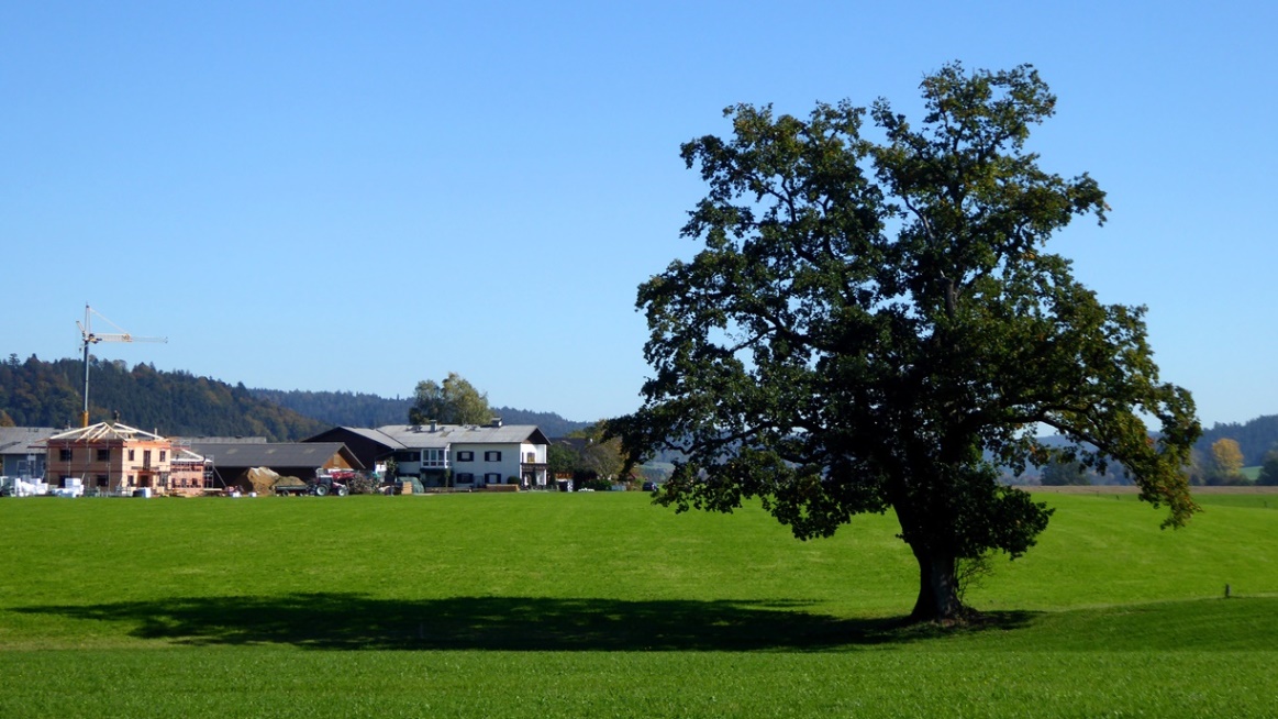 Südlicher Teil der Ortschaft Holz