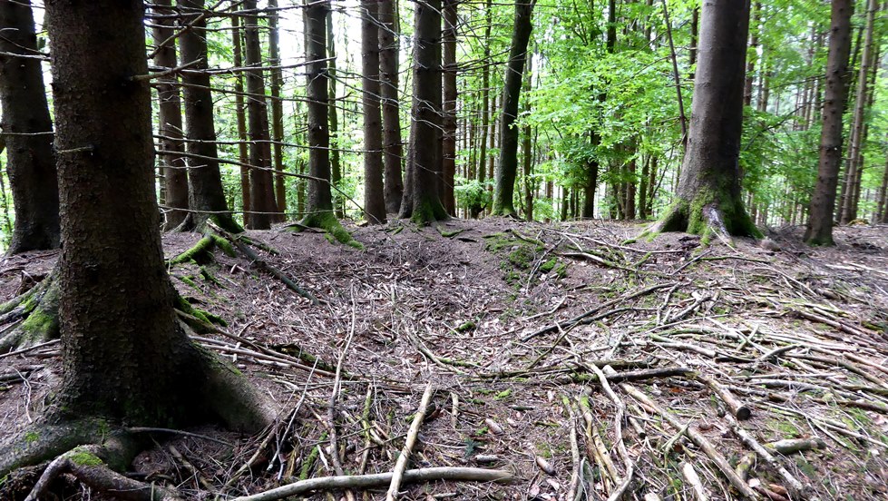 Trauriger Rest der Ausgrabung - ein "Krater"