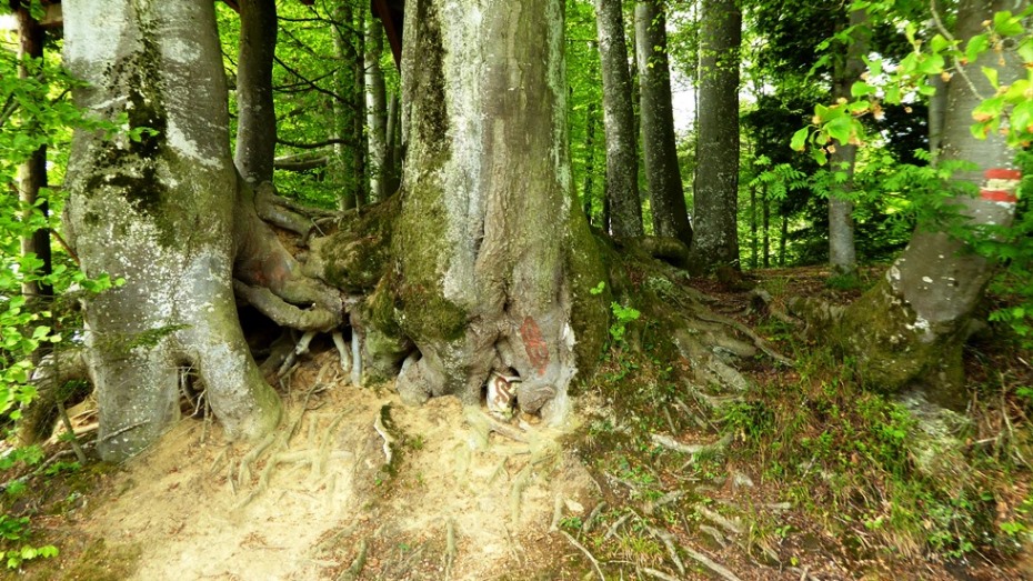 Mystischer Platz