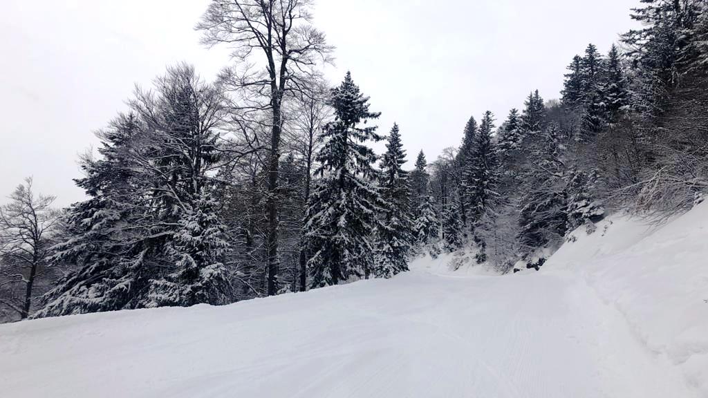 28. Jänner 2021 Hintersee