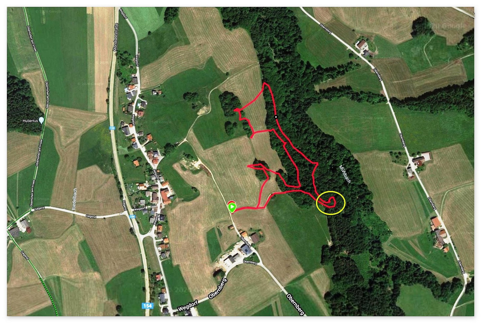 Wallanlage in der Steinbachgrabenwand