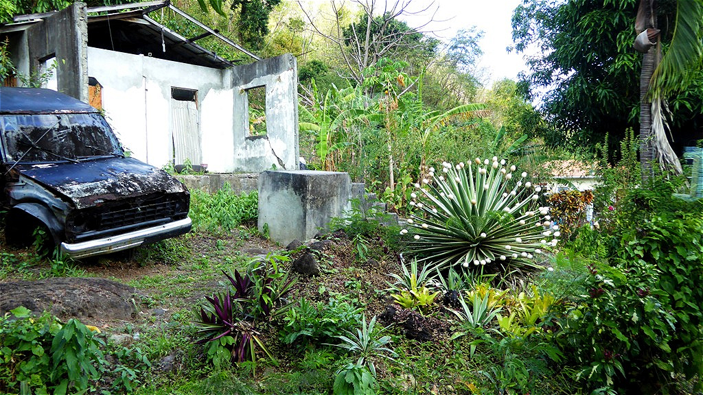 Stillleben - "Autowrack mit Eierstrauch"