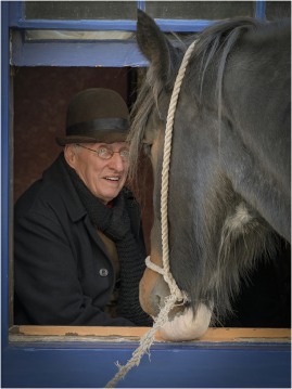 Horse Whisperer (Bryan Organ)