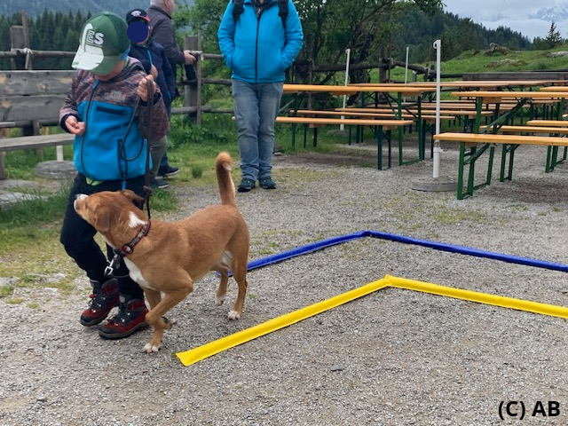Hindernis 4 - durch das L ohne Berührung