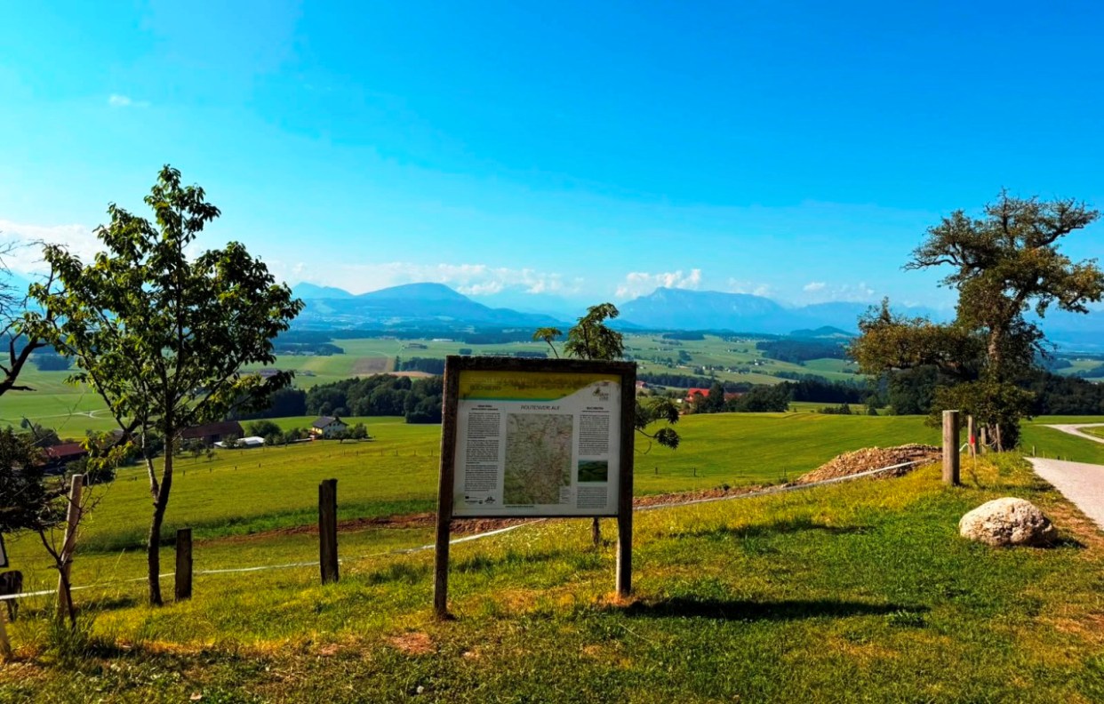 Auf dem Buchberg