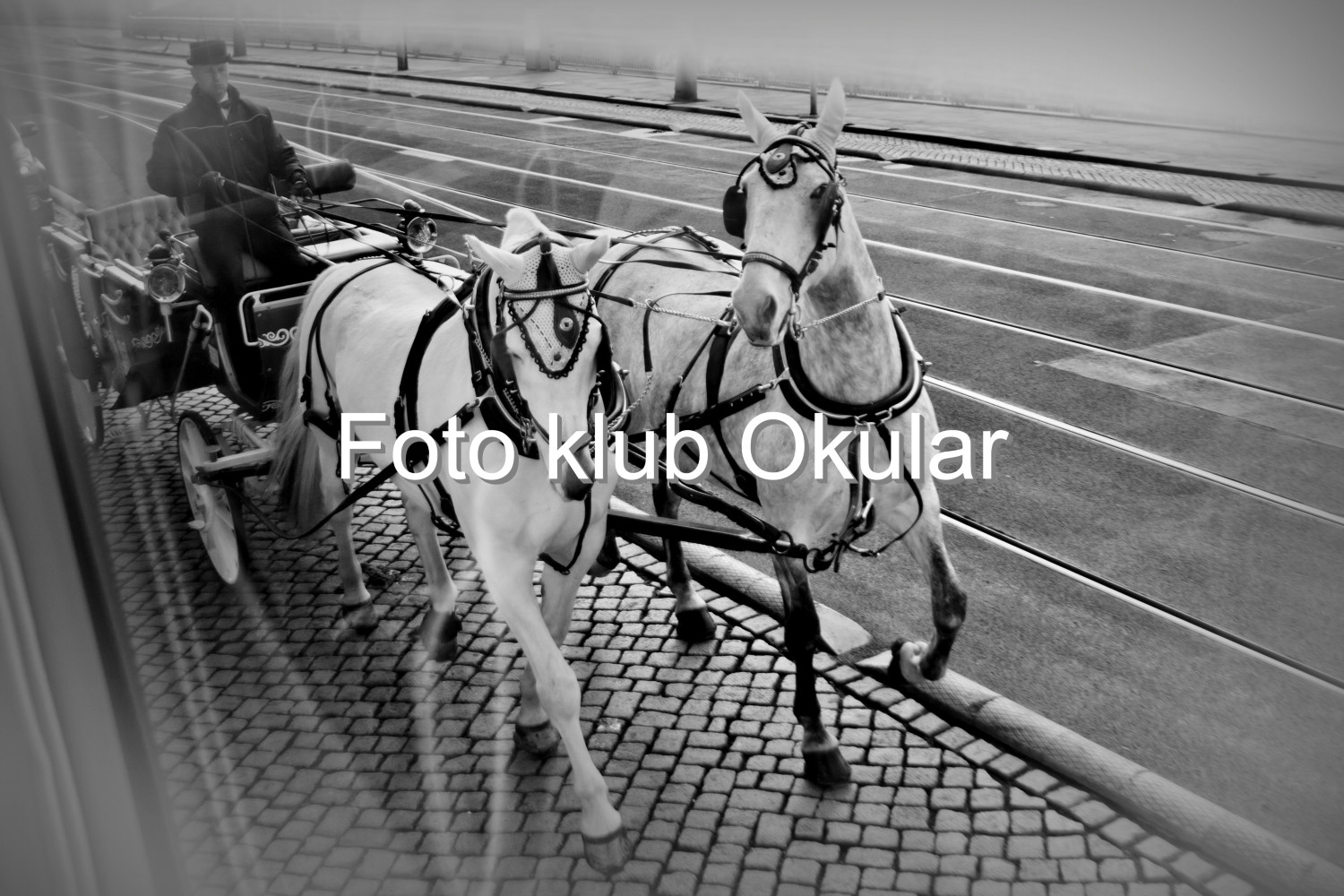 Milena Rupar_ Ko�ija
