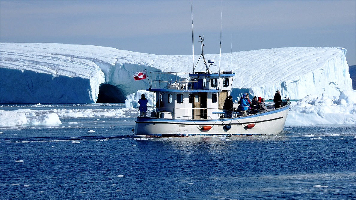 Wo sind die Wale ? !