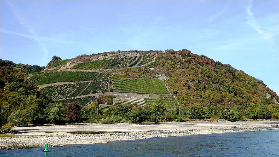 Geschützt gegen Nordwinde liegt er mit einer Hangneigung von 65% auf 100 bis 150 m über dem Rhein. Hier gedeiht bester Rheinriesling