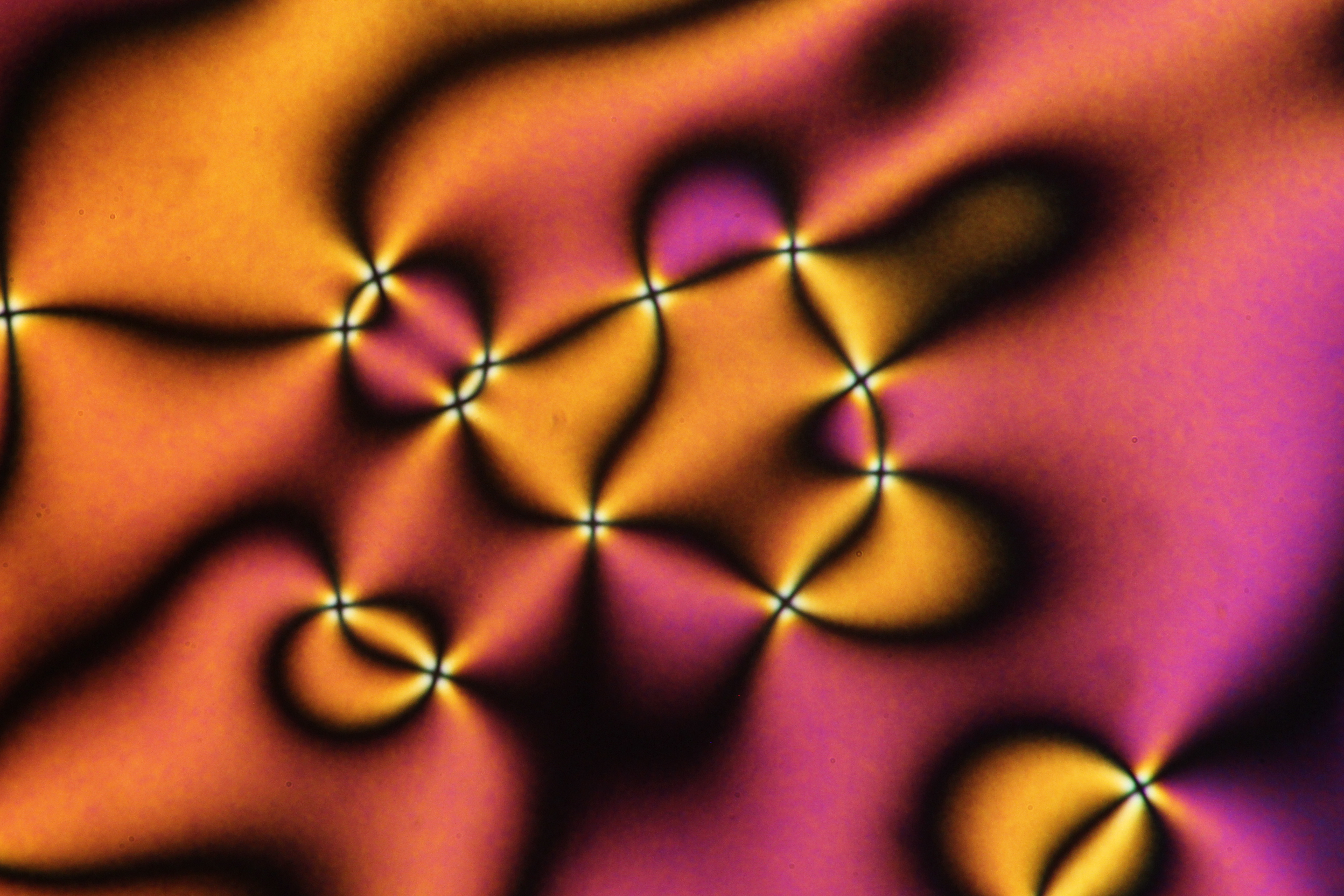 Umbilic defects in nematic LC1